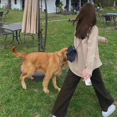 黑月亮